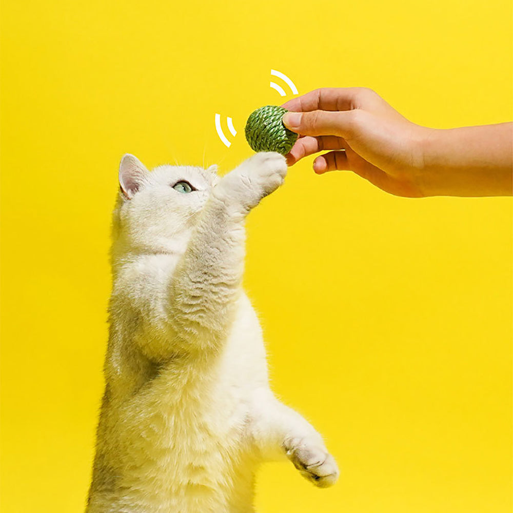 3PCS Cat Toy Balls, Interactive Pet Play Balls Sisal Rope Scratching Chew Ball Toy with Rustling Sound Pea Pod Storage for Indoor Kitten Training Hunting